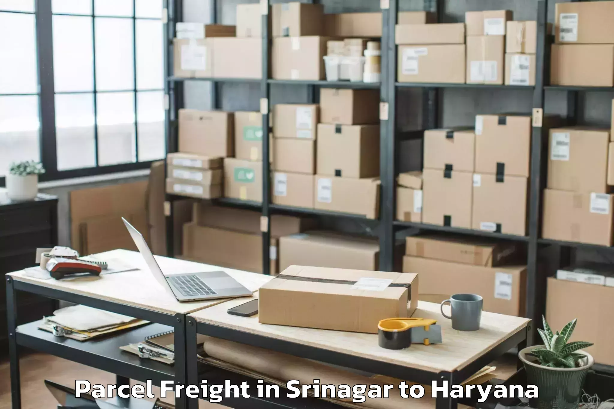 Efficient Srinagar to Bilaspur Haryana Parcel Freight